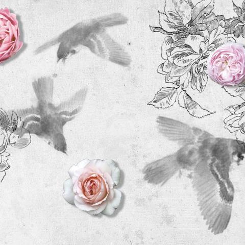 EBCT | Birdy In Sky Roses