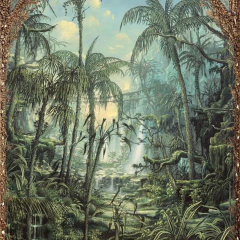 Jungle | François Zenner